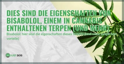 Eigenschaften von Bisabolol, einem Cannabis-Terpen