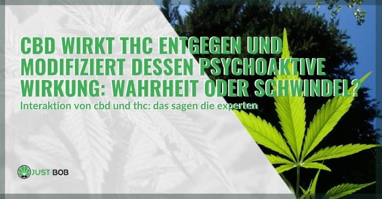 Die Wechselwirkung zwischen CBD und THC