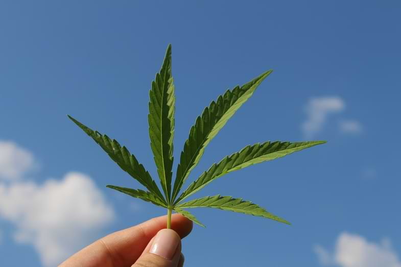 Studien zu Cannabidivarin