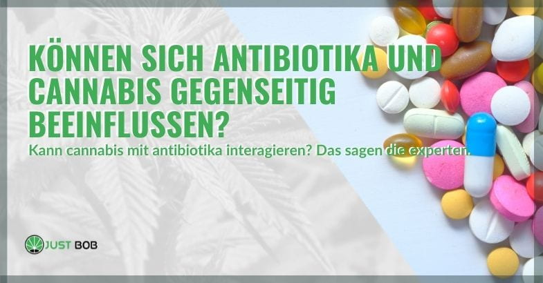 Die Wechselwirkung zwischen Cannabis und Antibiotika