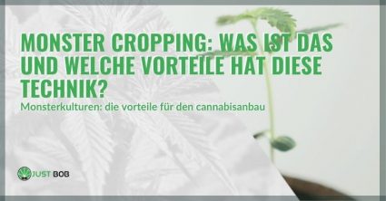 Was es beinhaltet und welche Vorteile das Monster Cropping bietet