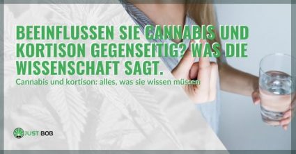 Die Wechselwirkung von Cannabis mit Kortison