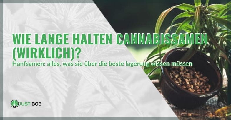 Alles über die Haltbarkeit von Hanfsamen