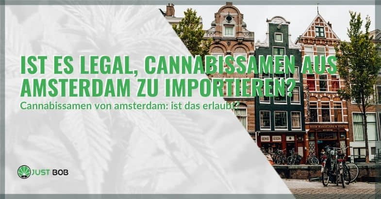 Ist die Einfuhr von Cannabissamen aus Amsterdam legal?