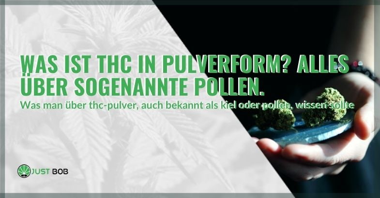 Was ist THC-Pulver?