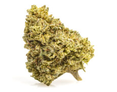 gelato cbd boost cbd blueten 