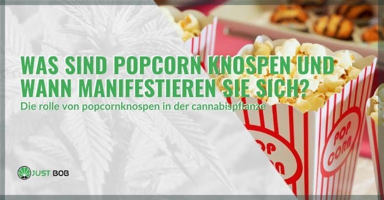 Was sind Popcornaufsätze? | Justbob