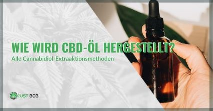 wie-CBD-Öl-hergestellt-wird Wie CBD-Öl hergestellt wird | Justbob