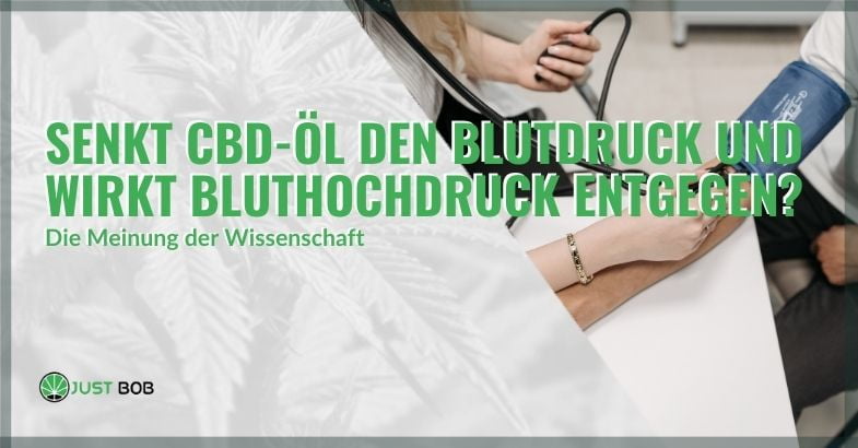 CBD senkt den Blutdruck und wirkt Bluthochdruck entgegen | Justbob