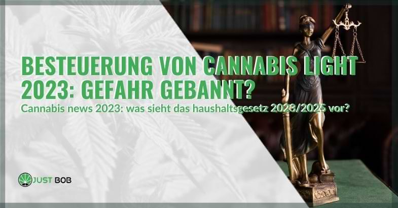 Besteuerung von leichtem Cannabis 2023 | Justbob