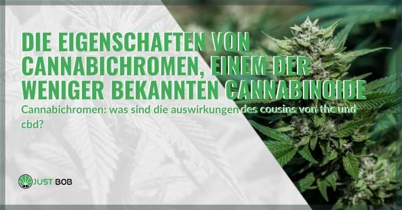 Die Merkmale von Cannabichromen | Justbob