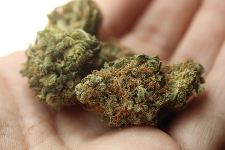 Das maltesische Gesetz über den Konsum von Cannabis | Justbob