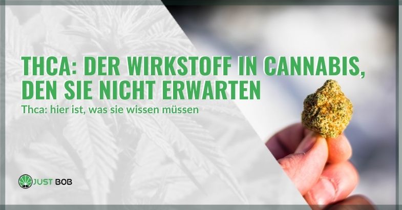 THCA-Wirkstoff von Cannabis | Justbob