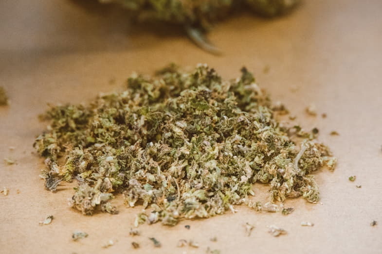 Cannabisabfälle nach dem Beschneiden | Justbob