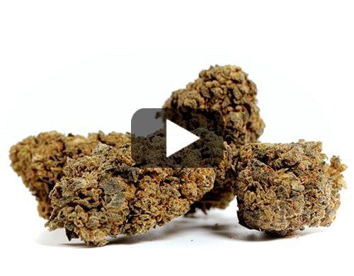 cbd-gras-orange-cbd-boost