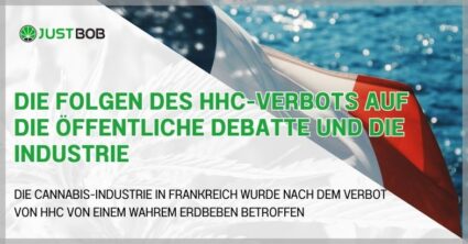 DIE FOLGEN DES HHC-VERBOTS AUF DIE ÖFFENTLICHE DEBATTE UND DIE INDUSTRIE