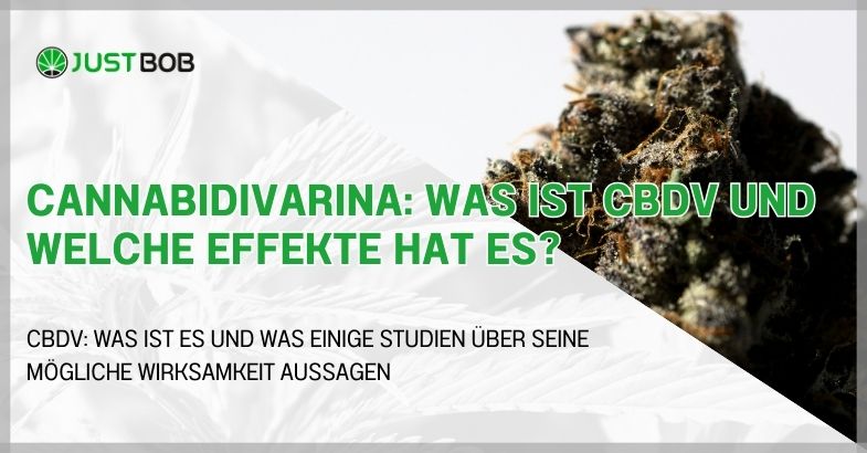 Cannabidivarina: Was ist CBDV und welche Effekte hat es?