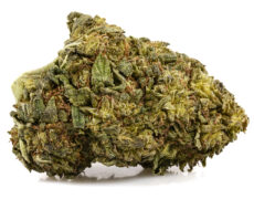 ak47 cbd boost cbd gras