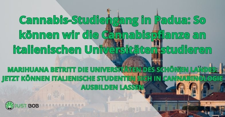 Präsentation des Cannabinologie-Kurses an der Universität Padua