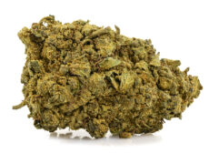 skunk h4 cbd blueten