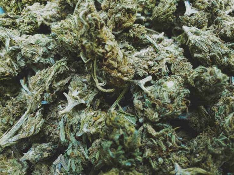 Was war der Wendepunkt für den italienischen Cannabismarkt?