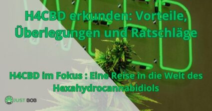 H4CBD erkunden Vorteile