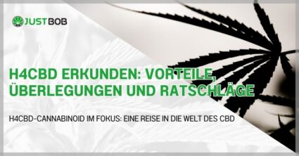 H4CBD erkunden: Vorteile, Überlegungen und Ratschläge