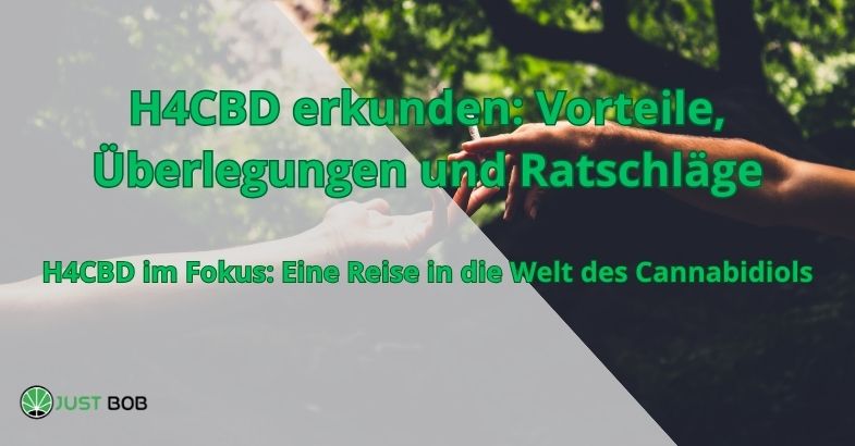 H4CBD erkunden: Vorteile, Überlegungen und Ratschläge