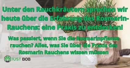 Unter den Rauchkräutern sprechen wir heute über die Erfahrung des Rosmarin-Rauchens