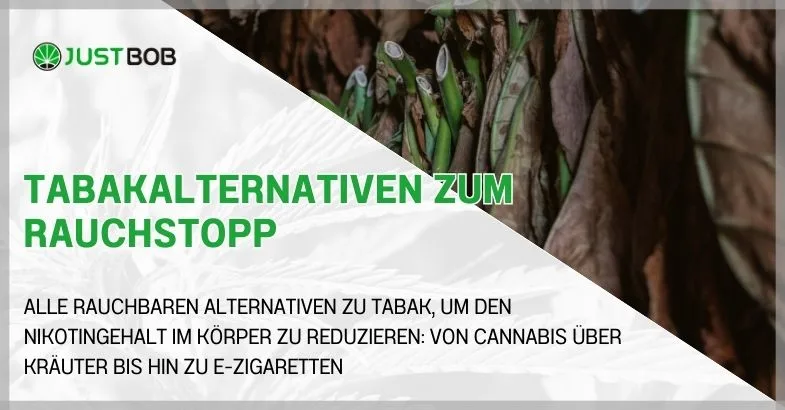 Tabakalternativen zum Rauchstopp