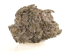 Nahaufnahme einer CBD Gras Blüte mit kristallinen Trichomen bedeckt