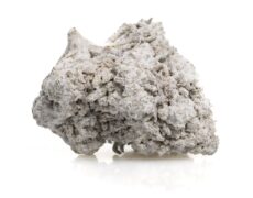 Nahaufnahme einer CBD Blüte reich 