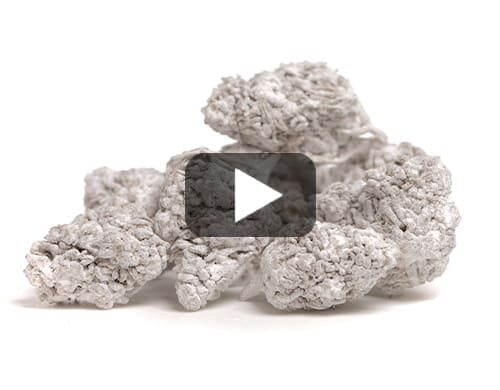 Nahaufnahme von CBD Gras mit hohem Gehalt