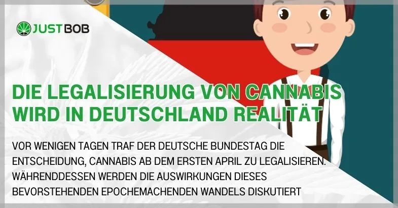 Die Legalisierung von Cannabis wird in Deutschland Realität