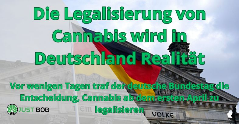 Die Legalisierung von Cannabis wird in Deutschland Realität