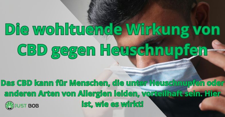 Die wohltuende Wirkung von CBD gegen Heuschnupfen