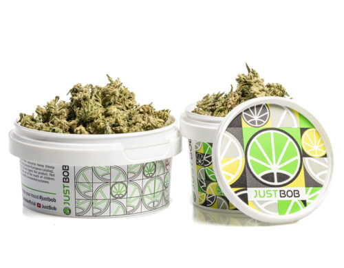 CBD Blüten des Alpine CBG Small Budsin einem weißen Behälter