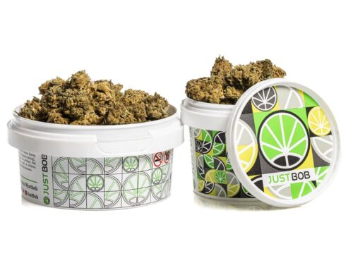 CBD Blüten des Blueberry Small Buds in einem weißen Behälter