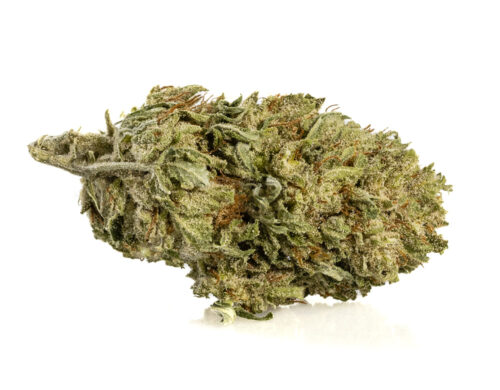 CBD Blüte Alpine CBG Small Buds