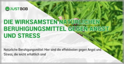 Die wirksamsten natürlichen Beruhigungsmittel gegen Angst und Stress
