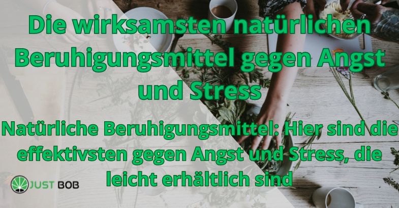 Die wirksamsten natürlichen Beruhigungsmittel gegen Angst und Stress