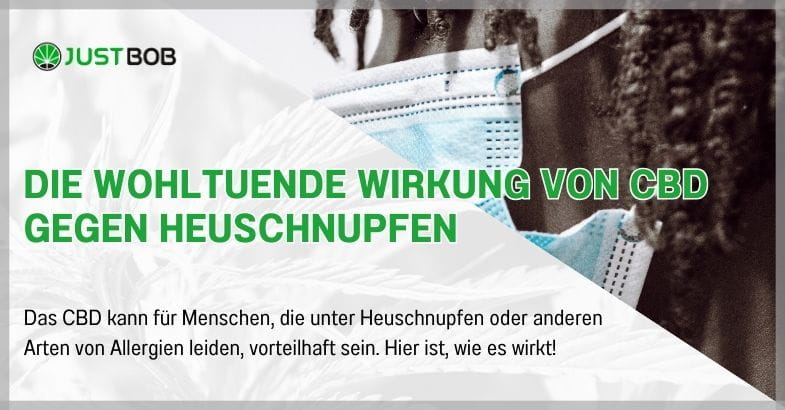 Die wohltuende Wirkung von CBD gegen Heuschnupfen
