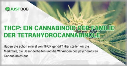 THCP: Ein Cannabinoid der Familie der Tetrahydrocannabinole