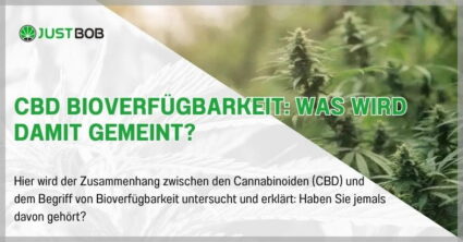 CBD Bioverfügbarkeit: Was wird damit gemeint?