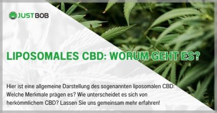 Liposomales CBD: Worum geht es?