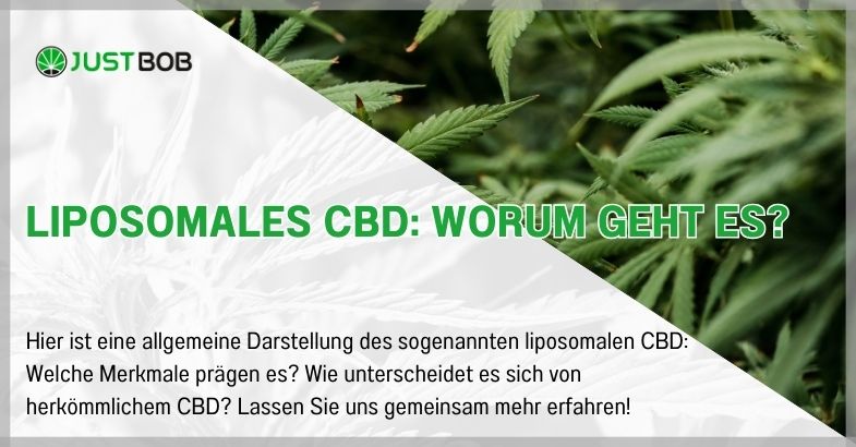 Liposomales CBD: Worum geht es?