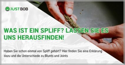 Was ist ein Spliff? Lassen Sie es uns herausfinden!