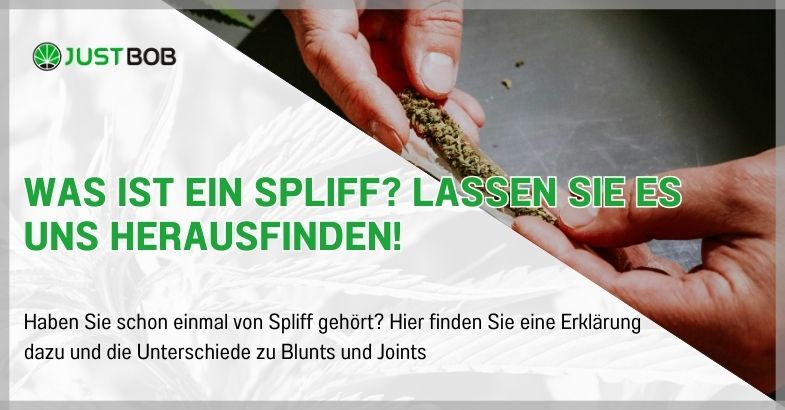 Was ist ein Spliff? Lassen Sie es uns herausfinden!