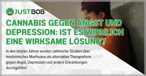 Cannabis Gegen Angst Und Depression Sorten