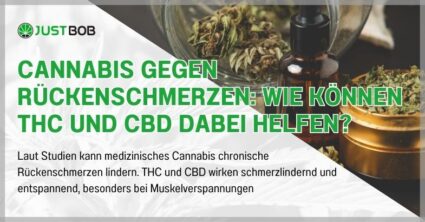 Cannabis gegen Rückenschmerzen